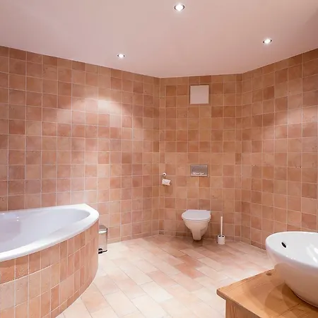 Apartment Le Rocher Nendaz Station ナンダ